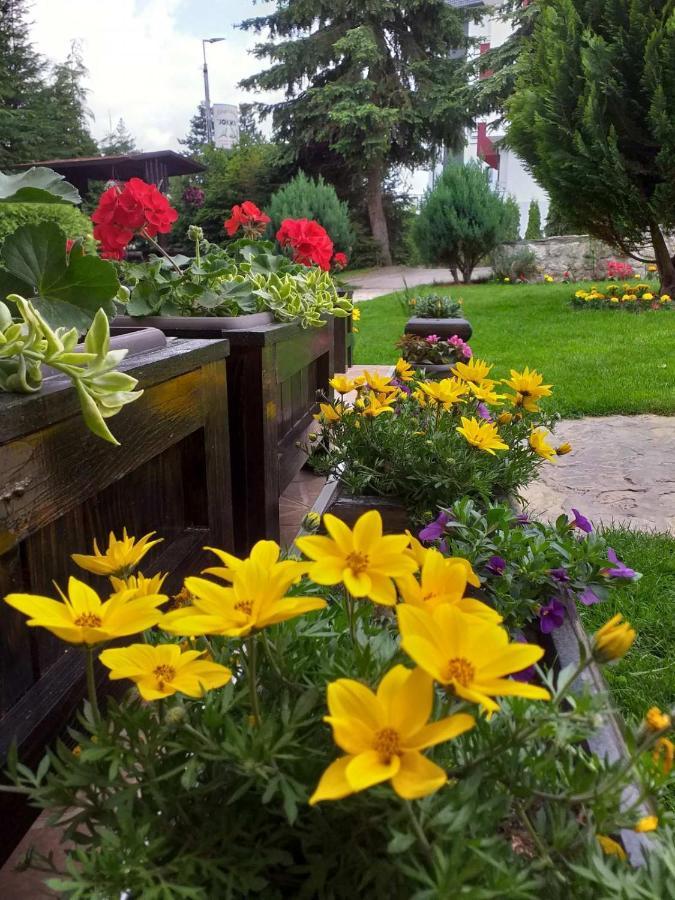 Apartmani Jokic Zlatibor Buitenkant foto